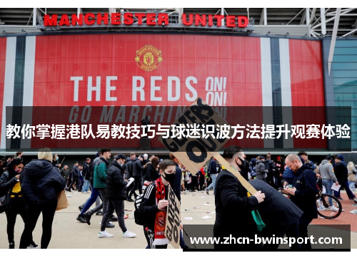 教你掌握港队易教技巧与球迷识波方法提升观赛体验