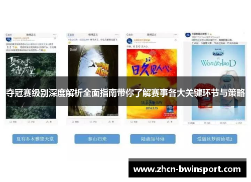 夺冠赛级别深度解析全面指南带你了解赛事各大关键环节与策略